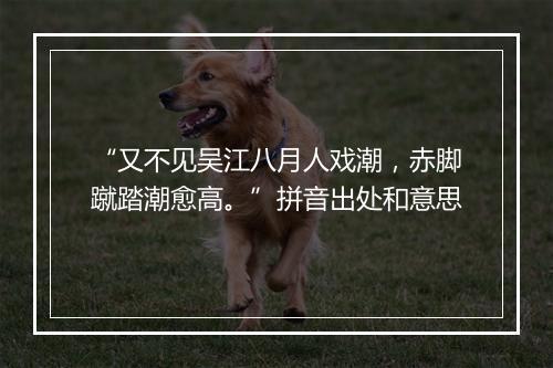 “又不见吴江八月人戏潮，赤脚蹴踏潮愈高。”拼音出处和意思