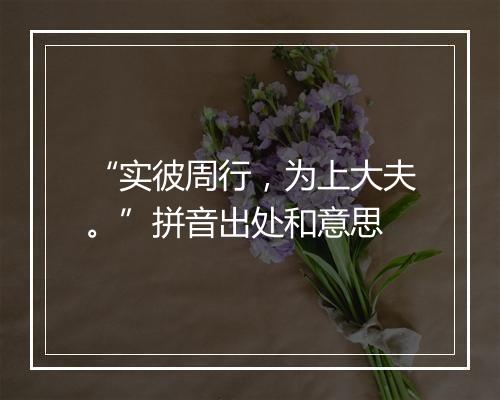 “实彼周行，为上大夫。”拼音出处和意思