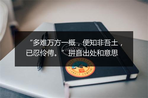 “多难万方一概，便知非吾土，已忍伶俜。”拼音出处和意思