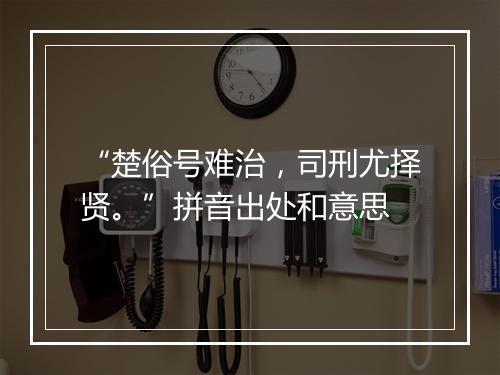 “楚俗号难治，司刑尤择贤。”拼音出处和意思