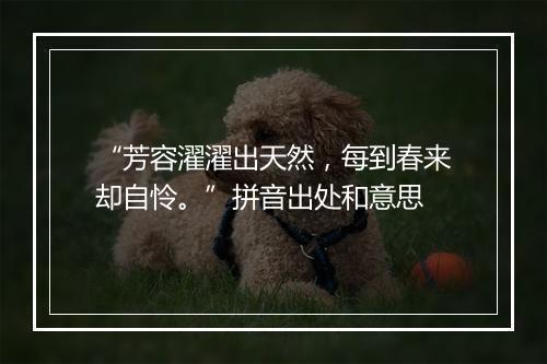 “芳容濯濯出天然，每到春来却自怜。”拼音出处和意思