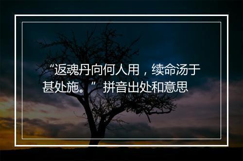 “返魂丹向何人用，续命汤于甚处施。”拼音出处和意思