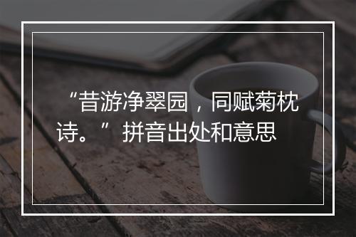 “昔游净翠园，同赋菊枕诗。”拼音出处和意思