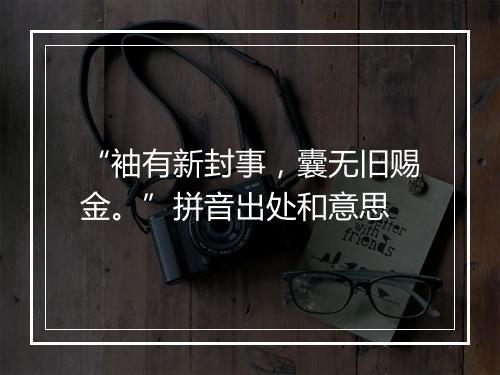 “袖有新封事，囊无旧赐金。”拼音出处和意思