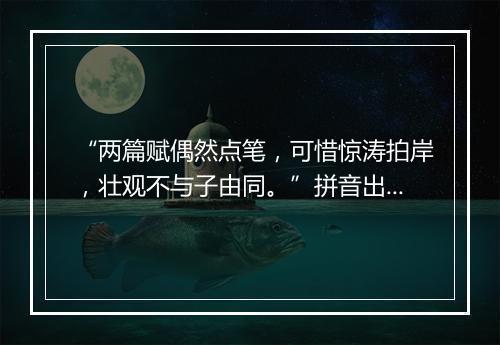 “两篇赋偶然点笔，可惜惊涛拍岸，壮观不与子由同。”拼音出处和意思