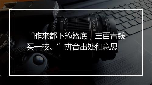 “昨来都下筠篮底，三百青钱买一枝。”拼音出处和意思