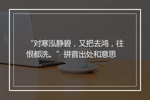 “对寒泓静碧，又把去鸿，往恨都洗。”拼音出处和意思