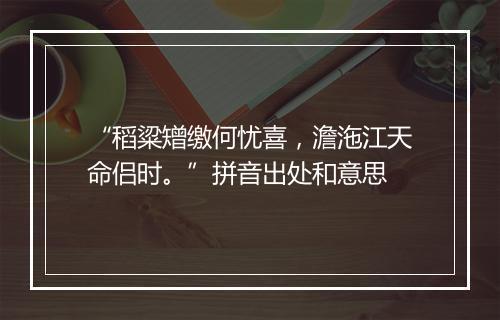 “稻粱矰缴何忧喜，澹沲江天命侣时。”拼音出处和意思