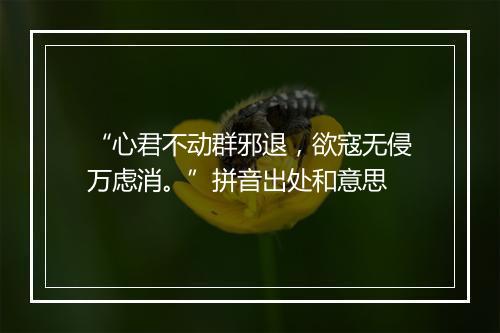 “心君不动群邪退，欲寇无侵万虑消。”拼音出处和意思