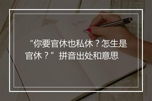 “你要官休也私休？怎生是官休？”拼音出处和意思