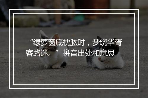 “绿萝窗底枕肱时，梦绕华胥客路迷。”拼音出处和意思