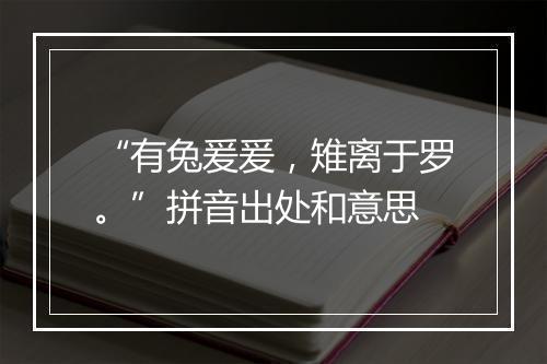 “有兔爰爰，雉离于罗。”拼音出处和意思