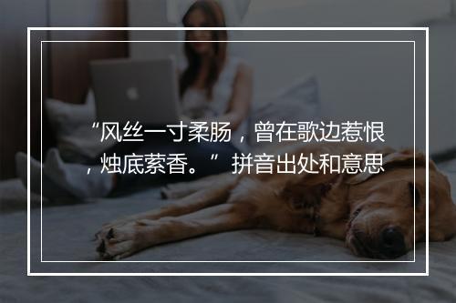 “风丝一寸柔肠，曾在歌边惹恨，烛底萦香。”拼音出处和意思