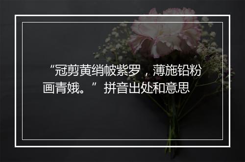 “冠剪黄绡帔紫罗，薄施铅粉画青娥。”拼音出处和意思