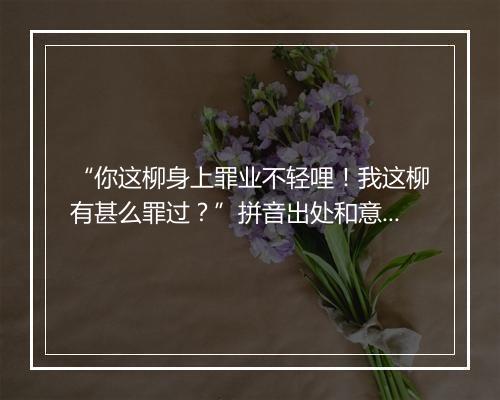 “你这柳身上罪业不轻哩！我这柳有甚么罪过？”拼音出处和意思