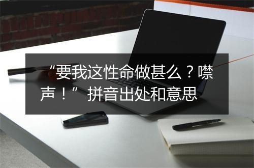 “要我这性命做甚么？噤声！”拼音出处和意思