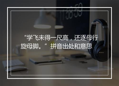 “学飞未得一尺高，还逐母行旋母脚。”拼音出处和意思