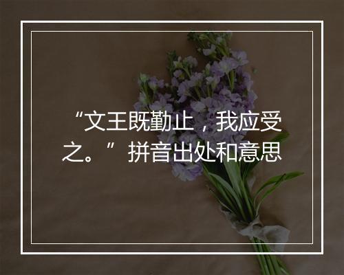 “文王既勤止，我应受之。”拼音出处和意思