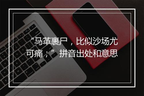 “马革裹尸，比似沙场尤可痛；”拼音出处和意思