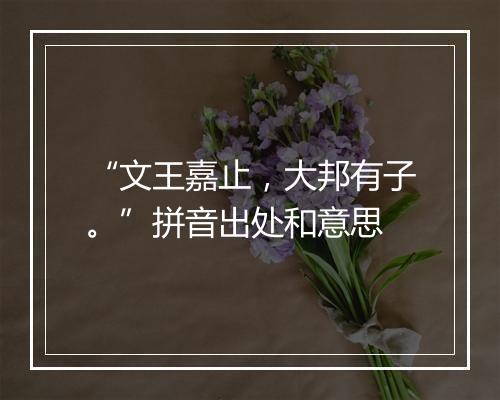 “文王嘉止，大邦有子。”拼音出处和意思