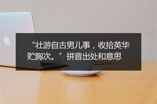 “壮游自古男儿事，收拾英华贮胸次。”拼音出处和意思