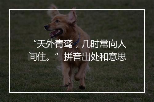 “天外青鸾，几时常向人间住。”拼音出处和意思