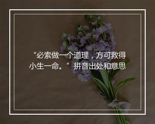 “必索做一个道理，方可救得小生一命。”拼音出处和意思