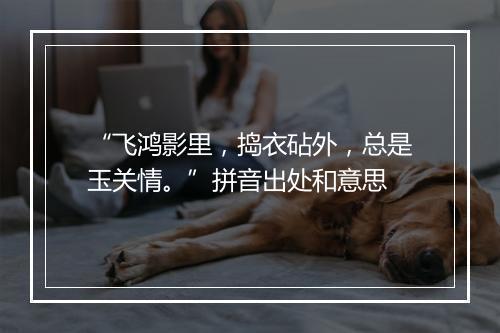 “飞鸿影里，捣衣砧外，总是玉关情。”拼音出处和意思