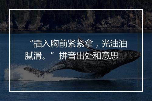 “插入胸前紧紧拿，光油油腻滑。”拼音出处和意思