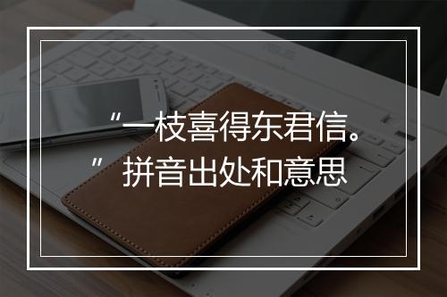 “一枝喜得东君信。”拼音出处和意思