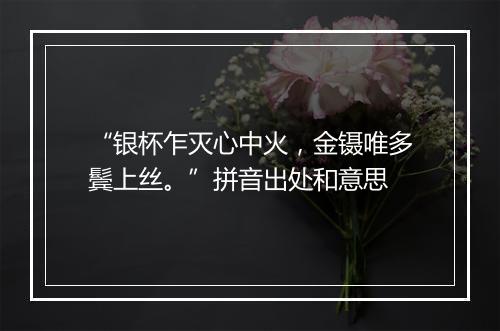 “银杯乍灭心中火，金镊唯多鬓上丝。”拼音出处和意思