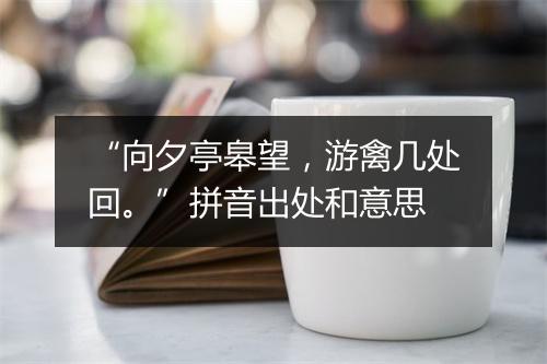 “向夕亭皋望，游禽几处回。”拼音出处和意思