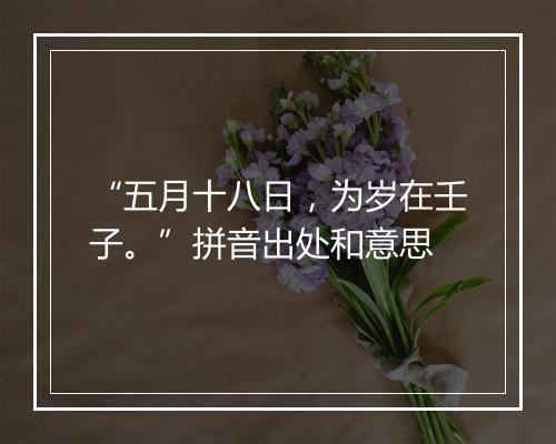 “五月十八日，为岁在壬子。”拼音出处和意思