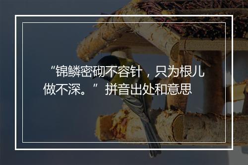 “锦鳞密砌不容针，只为根儿做不深。”拼音出处和意思