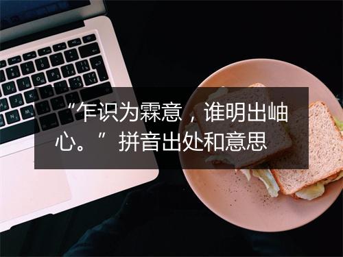 “乍识为霖意，谁明出岫心。”拼音出处和意思