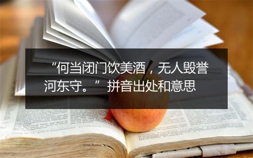 “何当闭门饮美酒，无人毁誉河东守。”拼音出处和意思