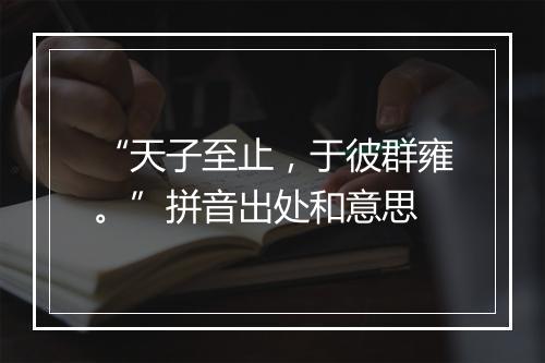 “天子至止，于彼群雍。”拼音出处和意思