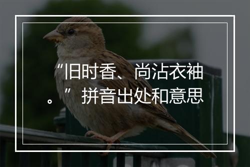 “旧时香、尚沾衣袖。”拼音出处和意思