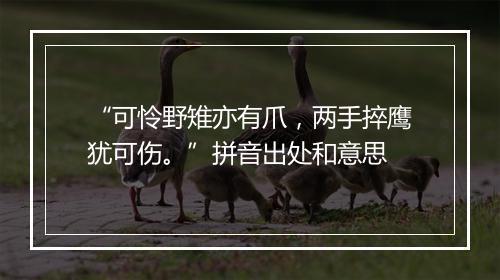 “可怜野雉亦有爪，两手捽鹰犹可伤。”拼音出处和意思