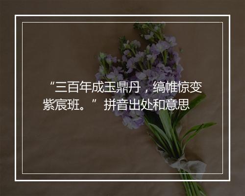 “三百年成玉鼎丹，缟帷惊变紫宸班。”拼音出处和意思