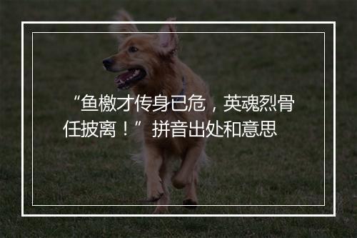 “鱼檄才传身已危，英魂烈骨任披离！”拼音出处和意思