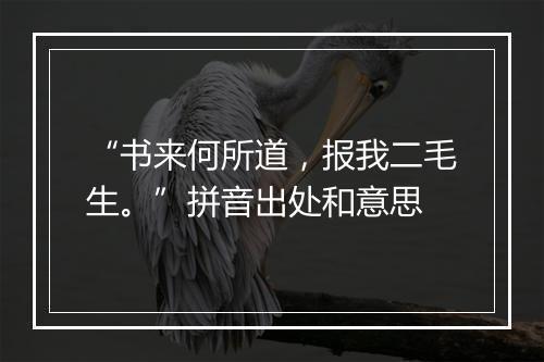 “书来何所道，报我二毛生。”拼音出处和意思