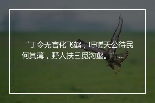 “丁令无官化飞鹤，吁嗟天公待民何其薄，野人扶曰觅沟壑。”拼音出处和意思