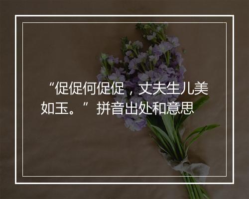 “促促何促促，丈夫生儿美如玉。”拼音出处和意思