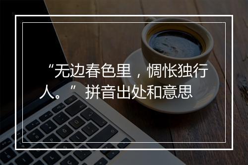 “无边春色里，惆怅独行人。”拼音出处和意思