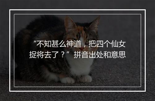 “不知甚么神道，把四个仙女捉将去了？”拼音出处和意思