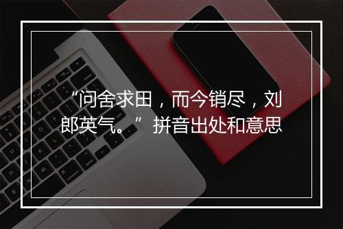 “问舍求田，而今销尽，刘郎英气。”拼音出处和意思