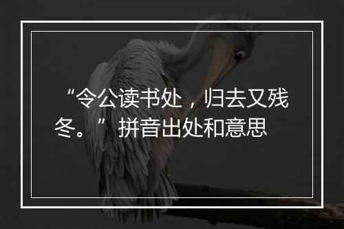 “令公读书处，归去又残冬。”拼音出处和意思