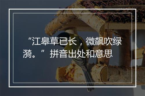 “江皋草已长，微飙吹绿漪。”拼音出处和意思