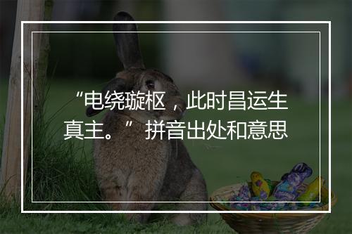 “电绕璇枢，此时昌运生真主。”拼音出处和意思